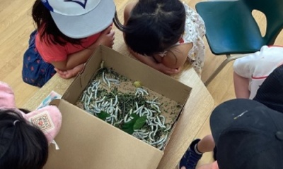 Silkworm Cycle