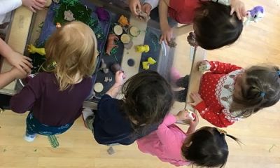 Exploring Farm Animals and Their Environment