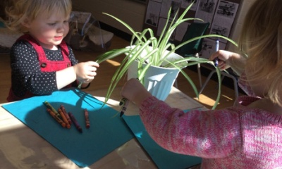 Plant Project