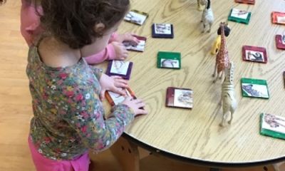 Exploring Wild Animals Through Play and Story Telling