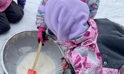 Home made ice cream experiment