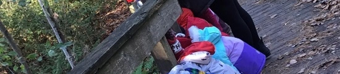 FEATURED STORY | Exploring Our Neighbourhood