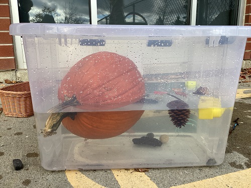 clear bucket showing what items sink or float in water