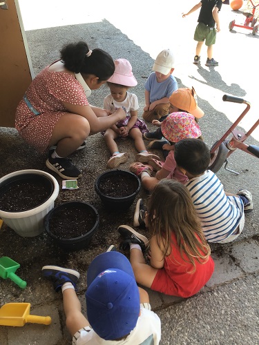Toddlers Planting seeds