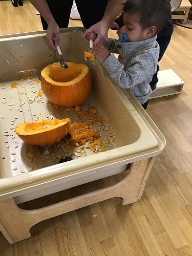 An educator helping a child scoop out the insides of a pumpkin