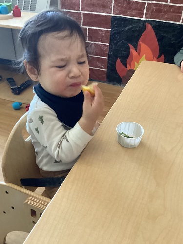 An infant taste testing a lemon and making a sour face