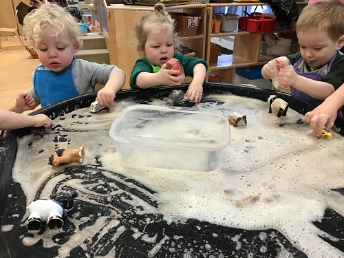 3 Preschool children standing with a tuff tray in front of them with soapy water and animals, the children have sponges in their hands and a toy animals in the other