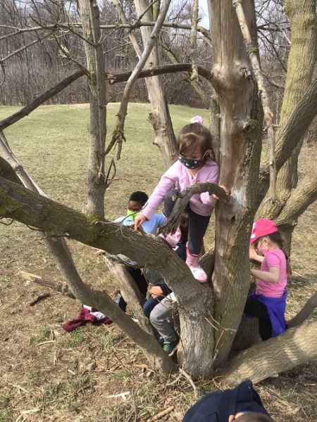 school-age children climing a tree