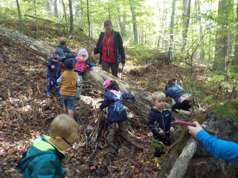 children climbing on a log