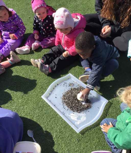 children surounding a tray of birdseed on the grass