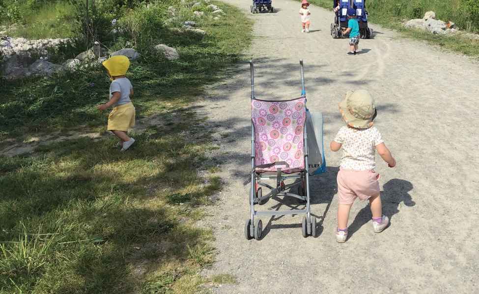 infants walking on a path