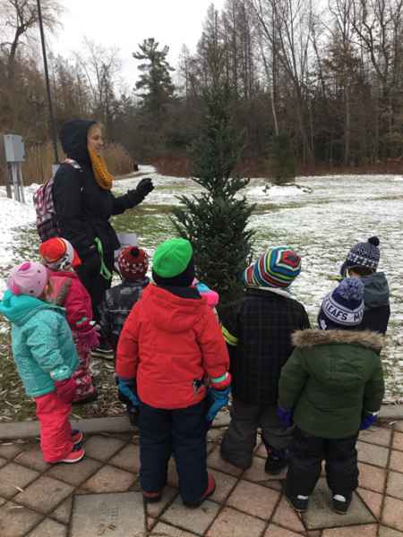 chidlren and educator looking at an evergreen tree