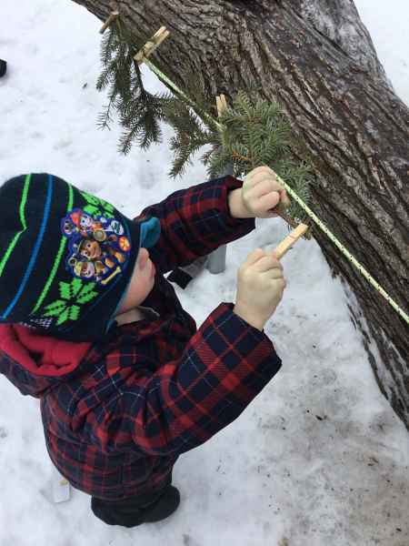 boy hanging trimmed tree branches on a rope