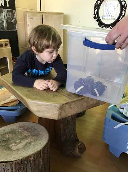 boy observing a lobster held in a bin by educator