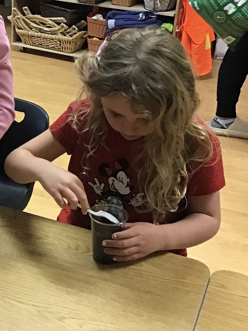 child planting seeds in a cup ful of soil