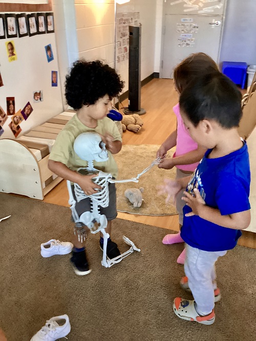3 preschool children exploring a plastic skeleton 