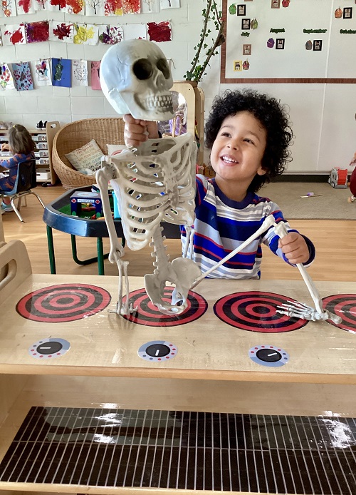 A preschool child proudly holding up the plastic skeleton