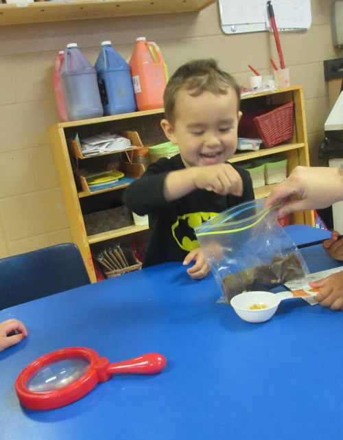 boy putting kernals in a bag